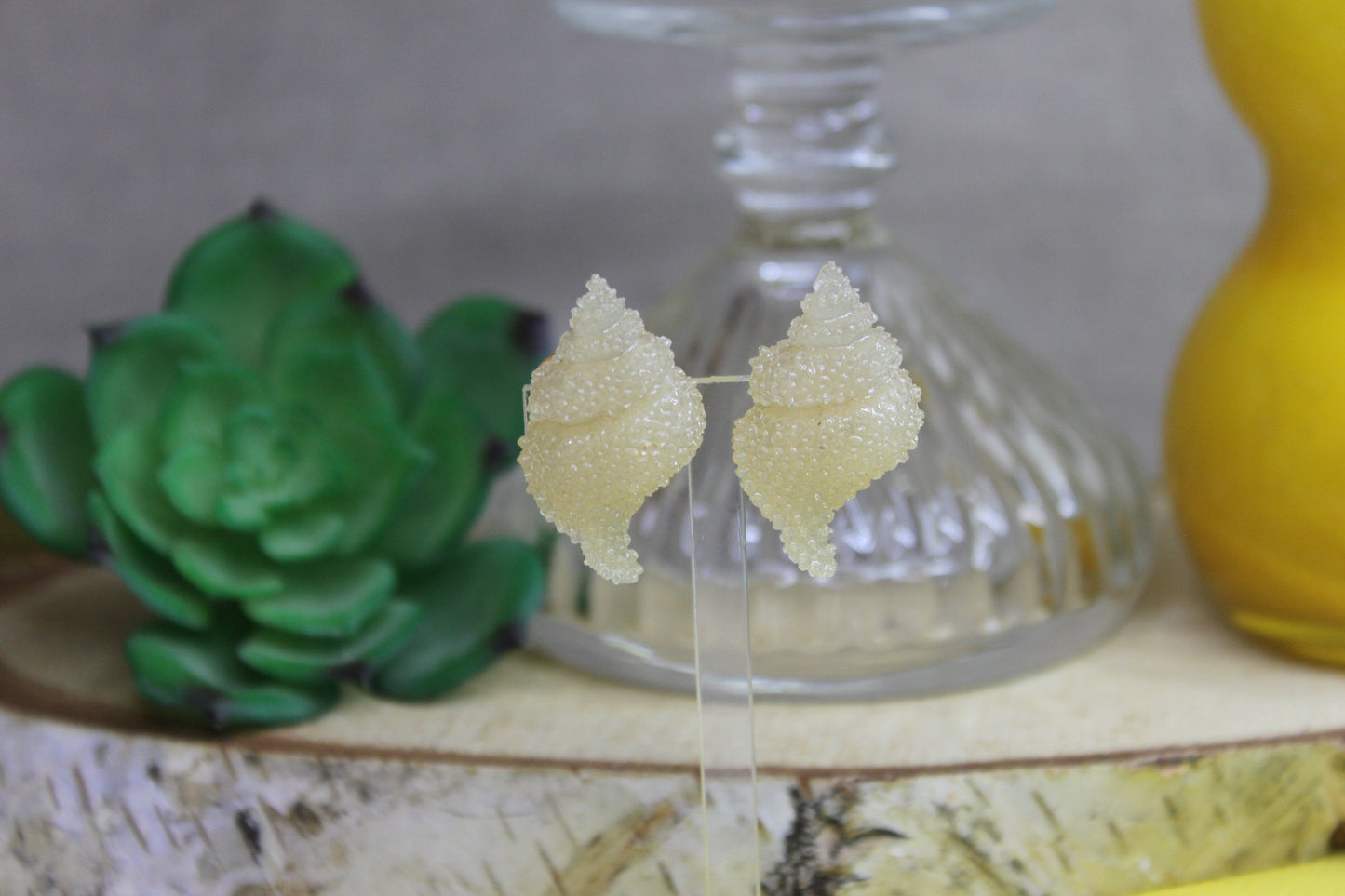 Clip coquillage beige crème / boucles d'oreilles