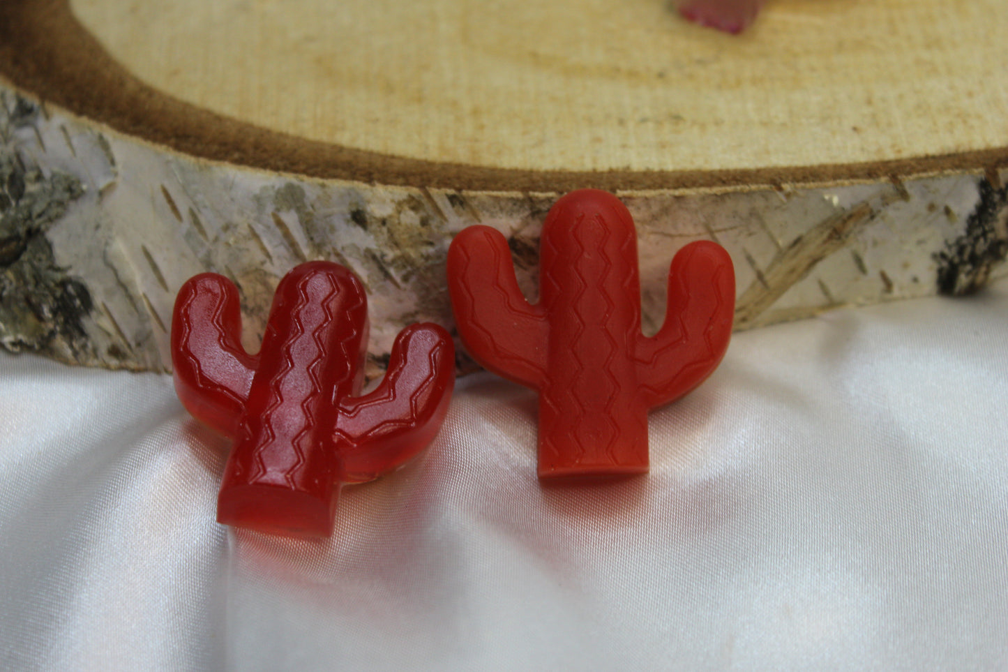 Cactus rouge / broches